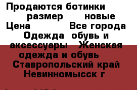 Продаются ботинки Baldinini, размер 37,5 новые › Цена ­ 7 000 - Все города Одежда, обувь и аксессуары » Женская одежда и обувь   . Ставропольский край,Невинномысск г.